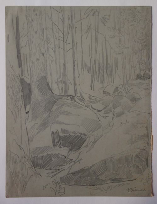 Wilhelm TrÃ¼bner: Waldstudie. Signiert, undatiert.
Bleistift auf grÃ¼nlich-grauem Karton, 31,2 : 23,6
cm. Privatbesitz Hamburg